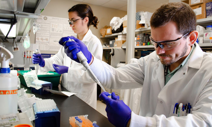 Casiana Gonsalez, a junior specialist and Julian Halmai, a Ph.D. candidate, UC Davis Stem Cell Program, October 18, 2019. (AJ Cheline/UC Davis)