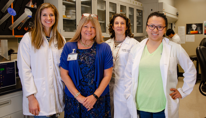 From left to right: Heather Dahlenburg, staff research associate; Jan Nolta, director of the Stem Cell Program; Jeannine Logan White, advanced cell therapy project manager; Sheng Yang, graduate student, Bridges Program, Humboldt State University, October 18, 2019. (AJ Cheline/UC Davis)